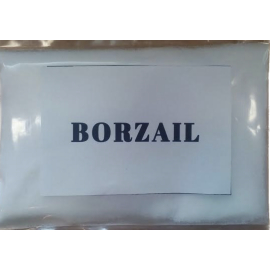 Borzail